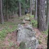 Menhiry Javorníku - Kamenná řada Dobrš